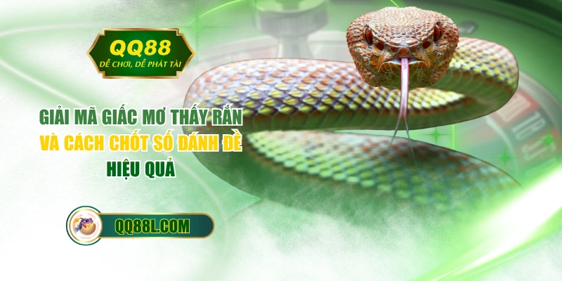 Giải Mã Giấc Mơ Thấy Rắn Và Cách Chốt Số Đánh Đề Hiệu Quả